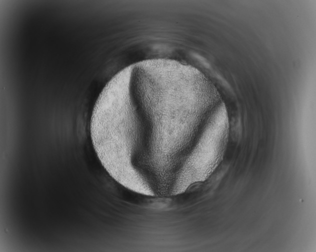X0000087560474200705181128