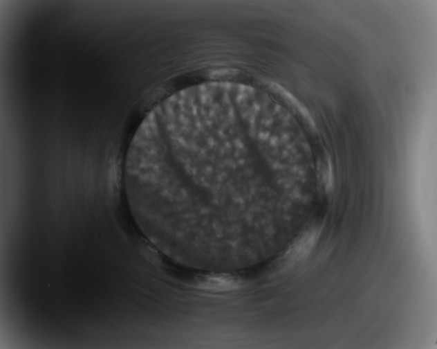 X0000087560475200705181128