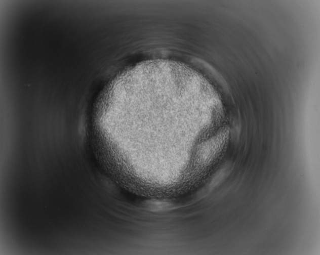 X0000087560477200705181128