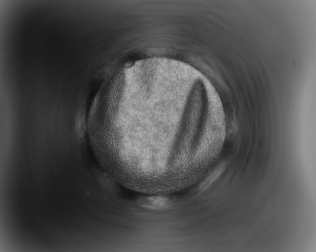 X0000087560478200705181128