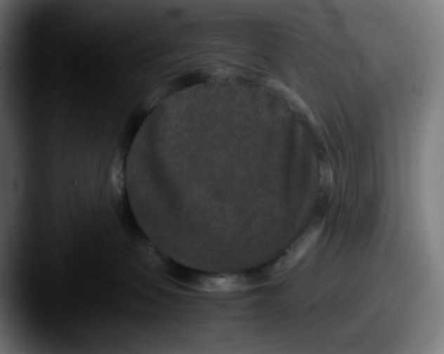 X0000087560479200705181128