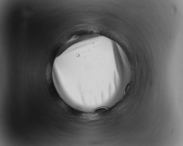 X0000087560480200705181128