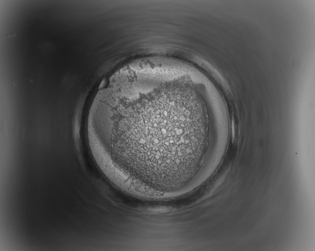 X0000087560483200705181127