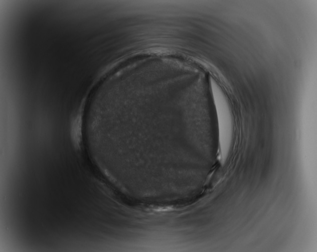 X0000087560484200705181127
