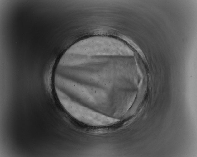 X0000087560485200705181127