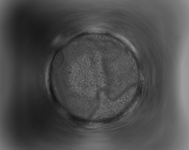 X0000087560487200705181127