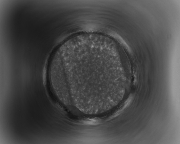 X0000087560488200705181127
