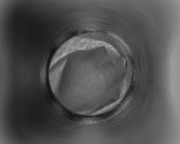 X0000087560489200705181127