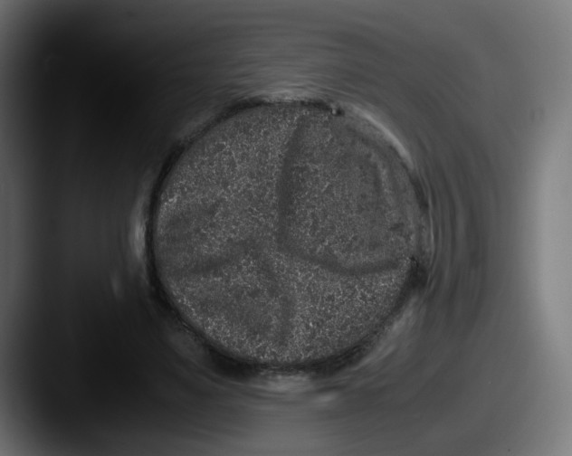 X0000087560491200705181127