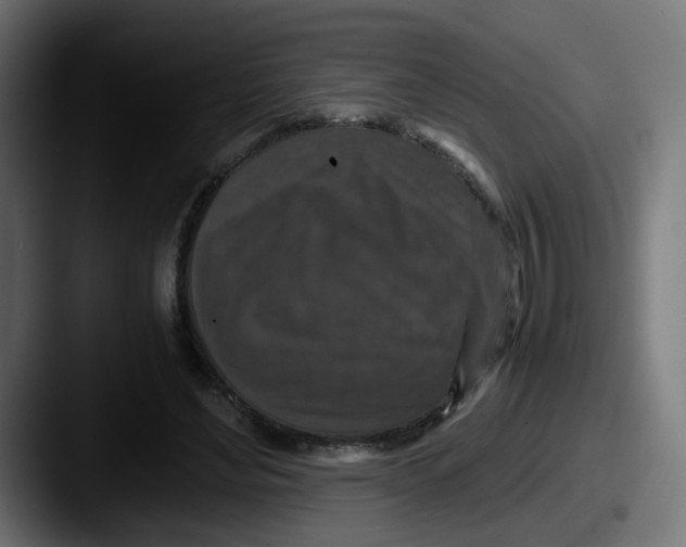 X0000087560492200705181127