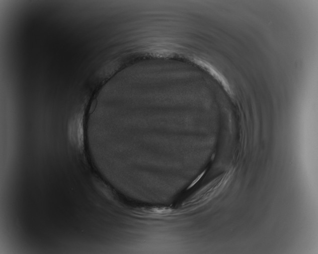 X0000087560493200705181127