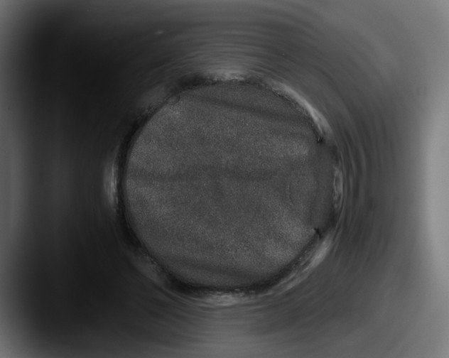 X0000087560494200705181127