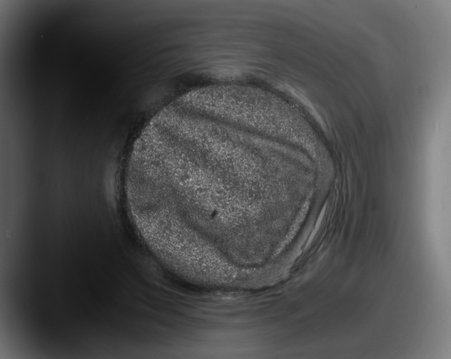 X0000087560495200705181127