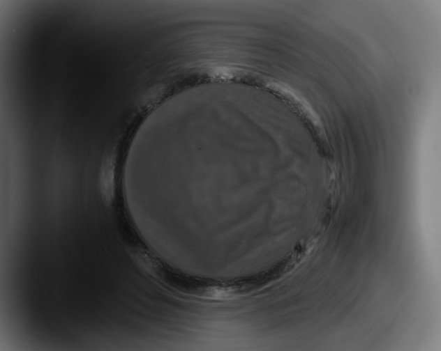 X0000087560496200705181127
