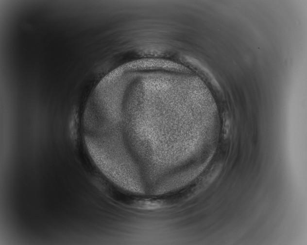 X0000087560498200705181127
