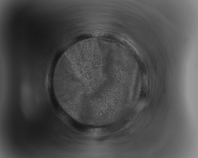 X0000087560499200705181127