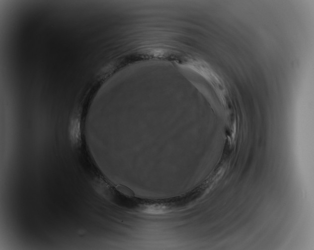 X0000087560500200705181127