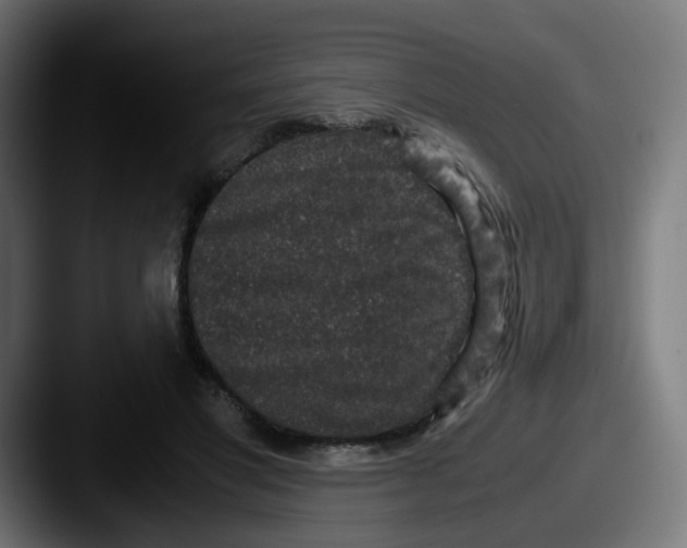 X0000087560501200705181127