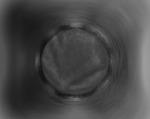 X0000087560502200705181127
