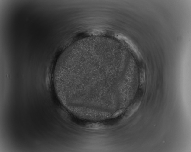 X0000087560503200705181127