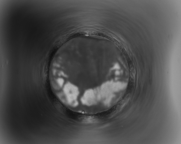 X0000087560507200705181127