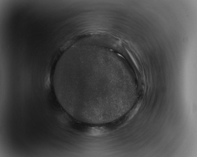 X0000087560508200705181127