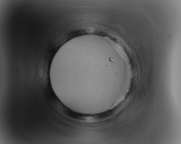 X0000087560509200705181127