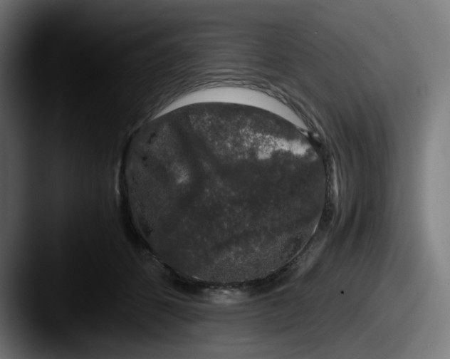 X0000087560512200705181127