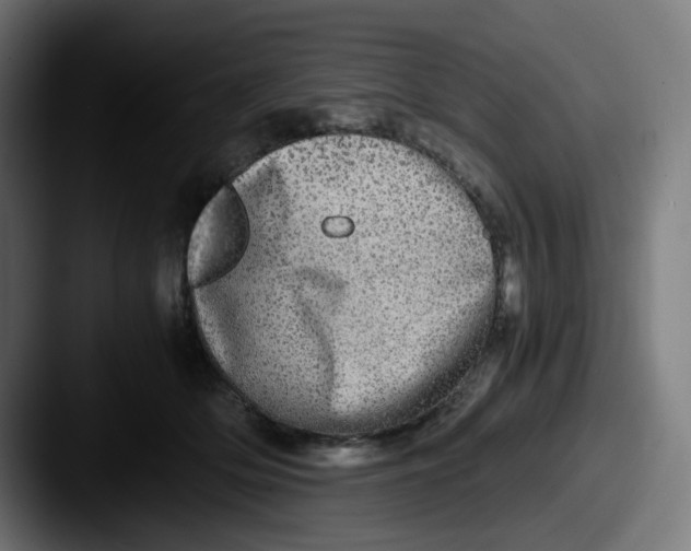 X0000087560514200705181127