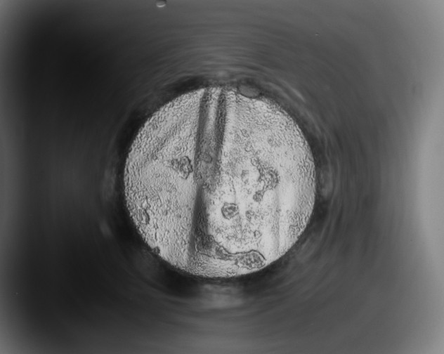 X0000087560515200705181127
