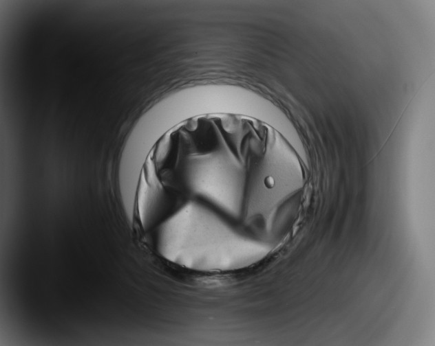 X0000087560516200705181127