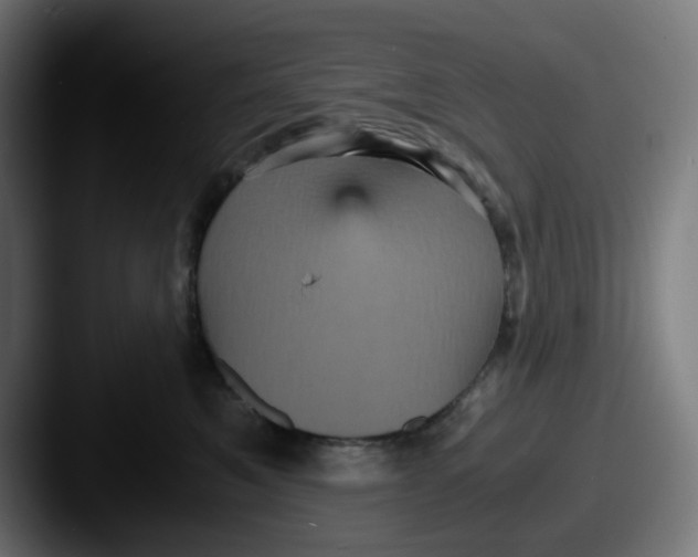 X0000087560521200705181127