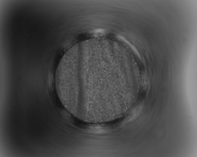 X0000087560523200705181127