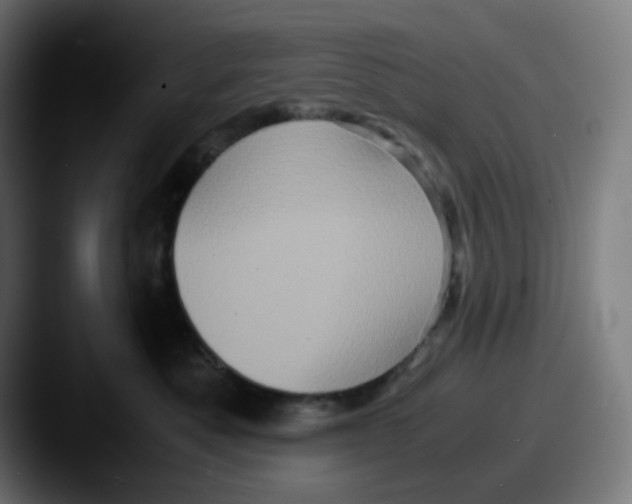 X0000087560525200705181127
