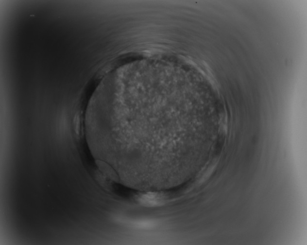 X0000087560527200705181127