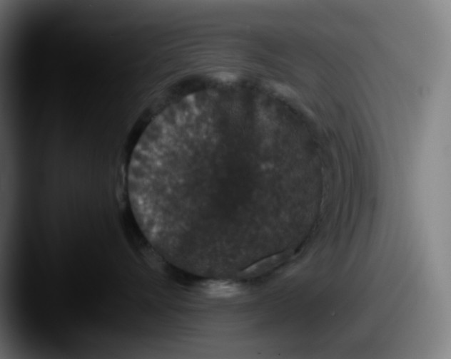 X0000087560528200705181127