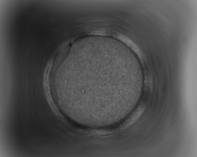 X0000087560529200705181126