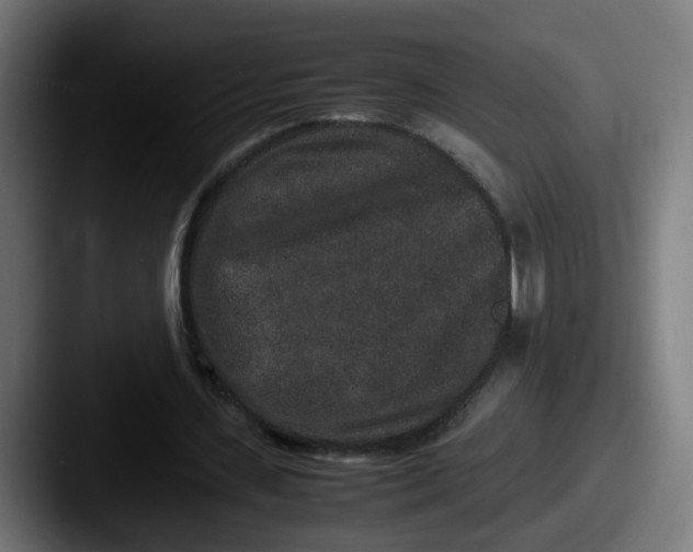 X0000087560531200705181126