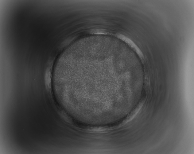 X0000087560533200705181126