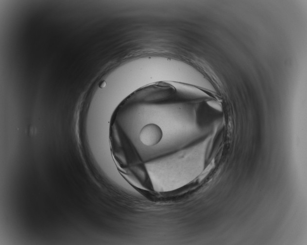X0000087560534200705181126