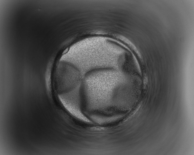 X0000087560535200705181126