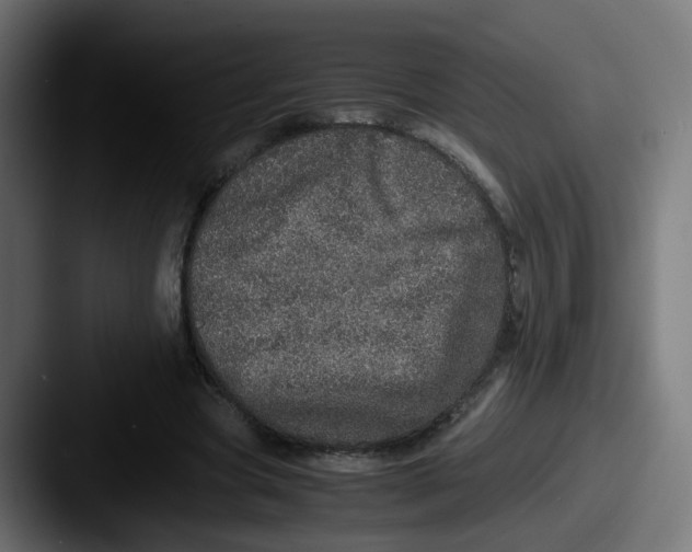 X0000087560537200705181126