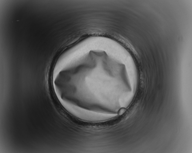 X0000087560538200705181126