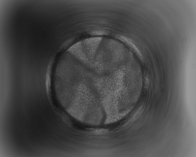 X0000087560539200705181126