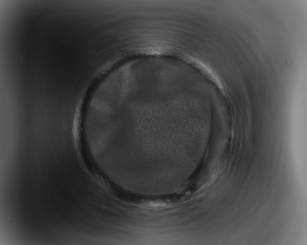 X0000087560540200705181126