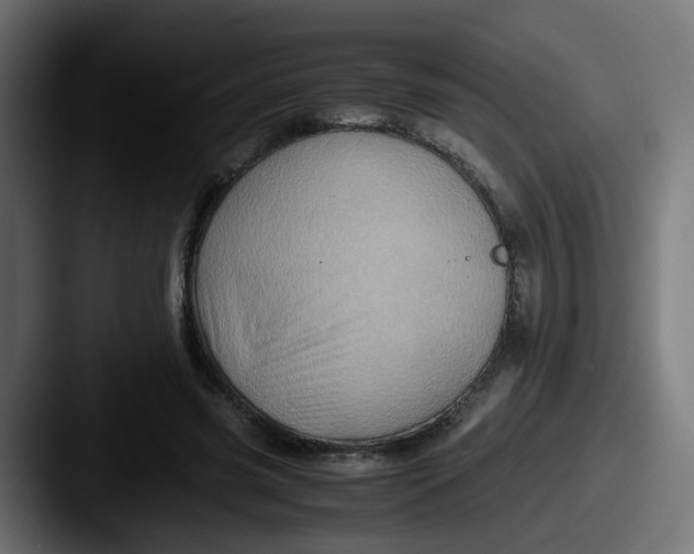 X0000087560541200705181126