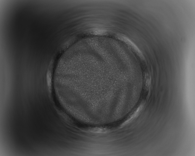 X0000087560542200705181126