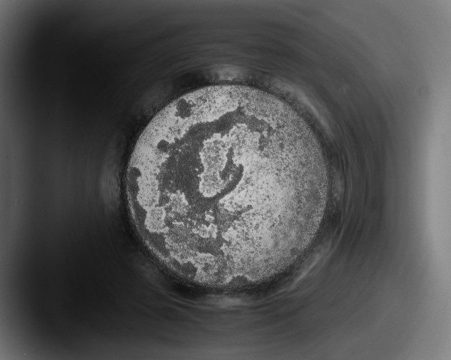 X0000087560545200705181126