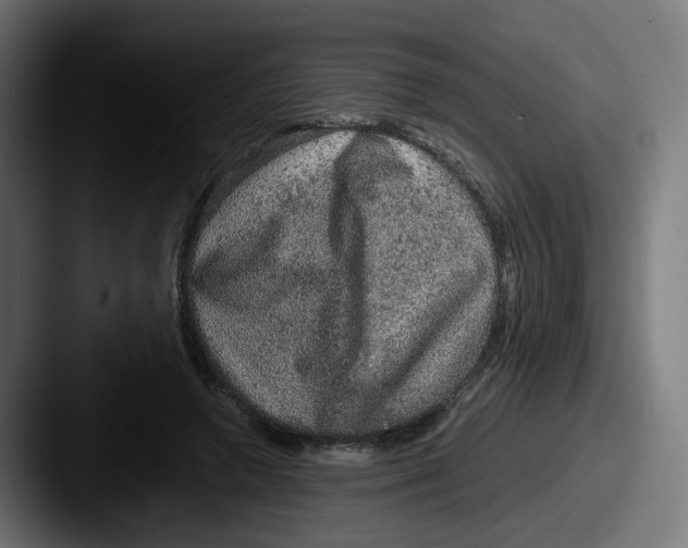 X0000087560546200705181126