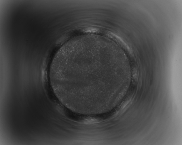 X0000087560547200705181126